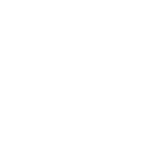 Trusted Choice Independent Insurance Agents Icon